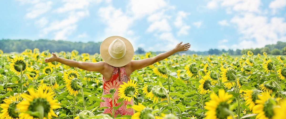 Vivi al Naturale_girasoli