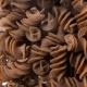 FUSILLONI RIGATI grano duro integrale SENATORE CAPPELLI bio Val d'Orcia