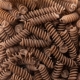 FUSILLI di FARRO bio Val d'Orcia